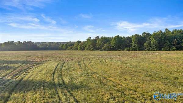 20 Acres of Land for Sale in Dutton, Alabama