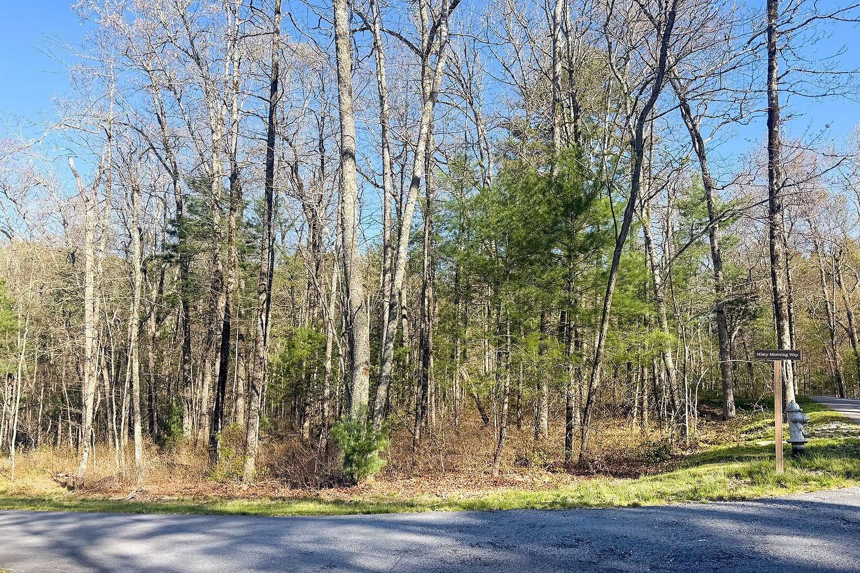 0.65 Acres of Residential Land for Sale in Cashiers, North Carolina