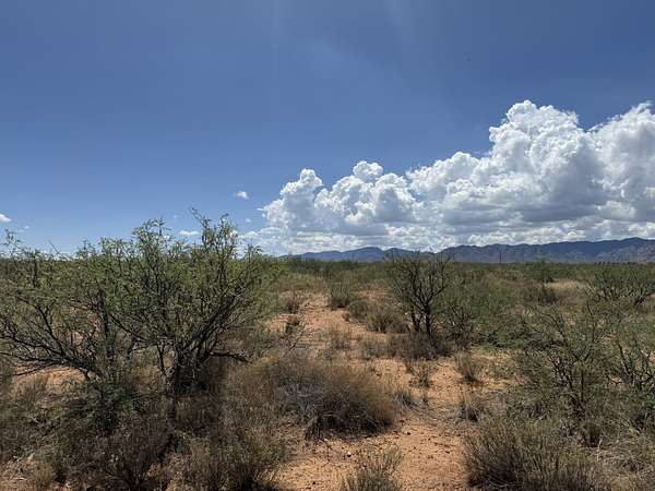 0.84 Acres of Residential Land for Sale in Pearce, Arizona