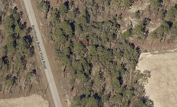 0.32 Acres of Residential Land for Sale in Dunnellon, Florida