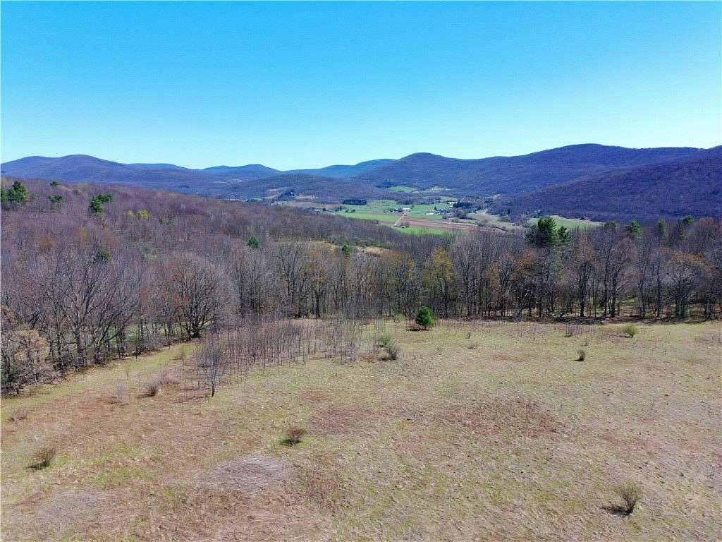 120 Acres of Land for Sale in Kortright Town, New York