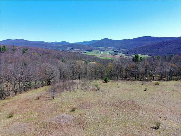 120 Acres of Land for Sale in Kortright Town, New York