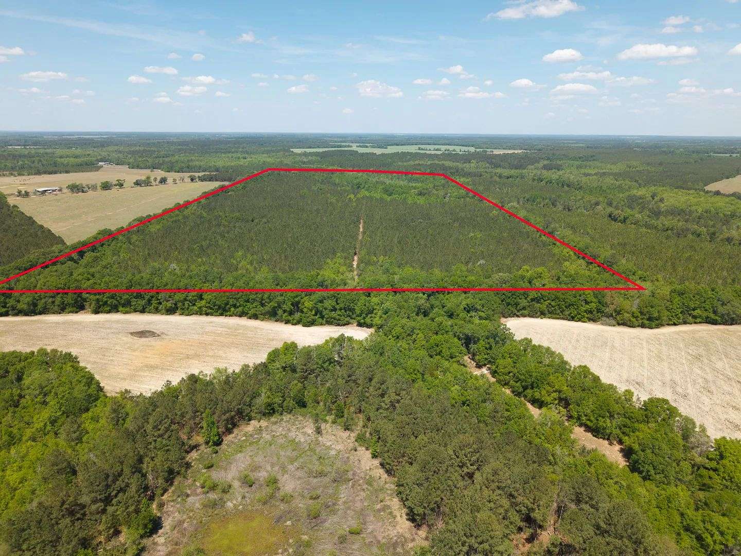90.4 Acres of Land for Sale in Sylvania, Georgia