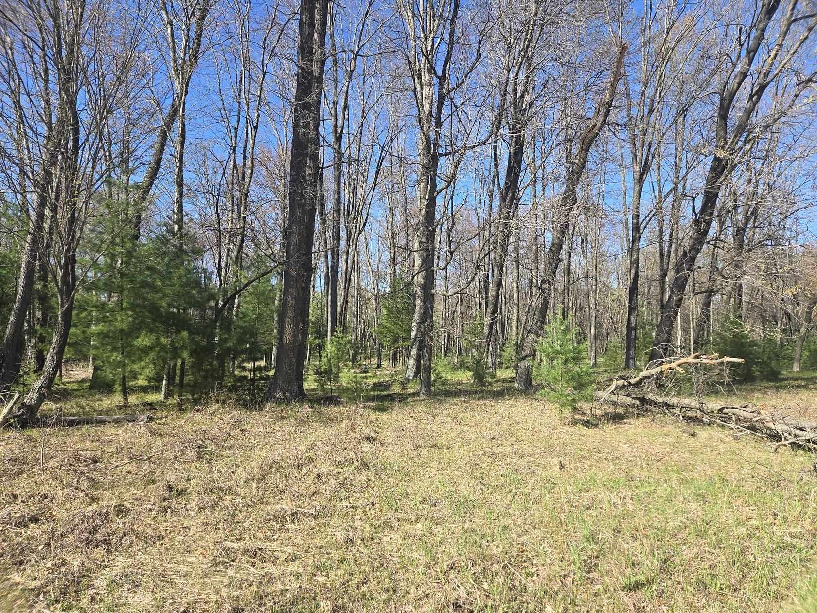 80 Acres of Recreational & Residential Land for Sale in Arkdale, Wisconsin