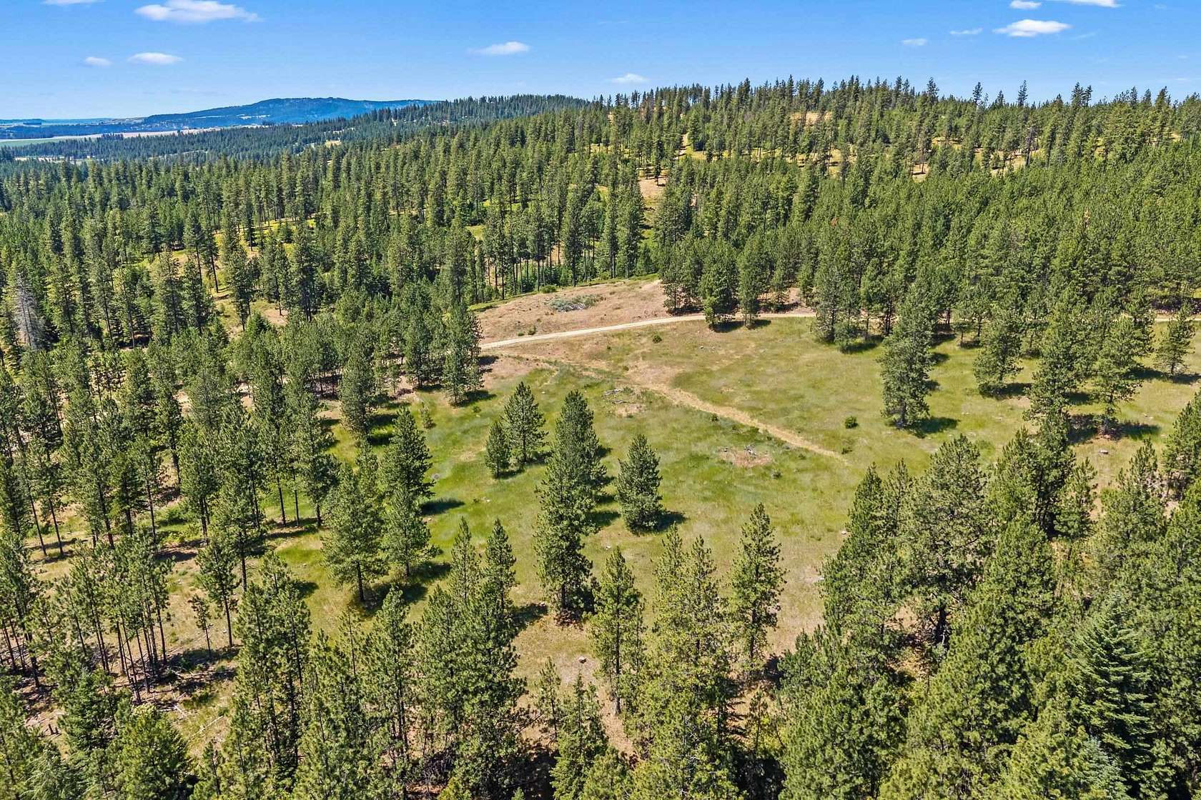 92.5 Acres of Recreational Land for Sale in Mica, Washington