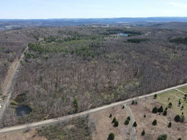 44 Acres of Recreational & Residential Land for Sale in Cooperstown, New York
