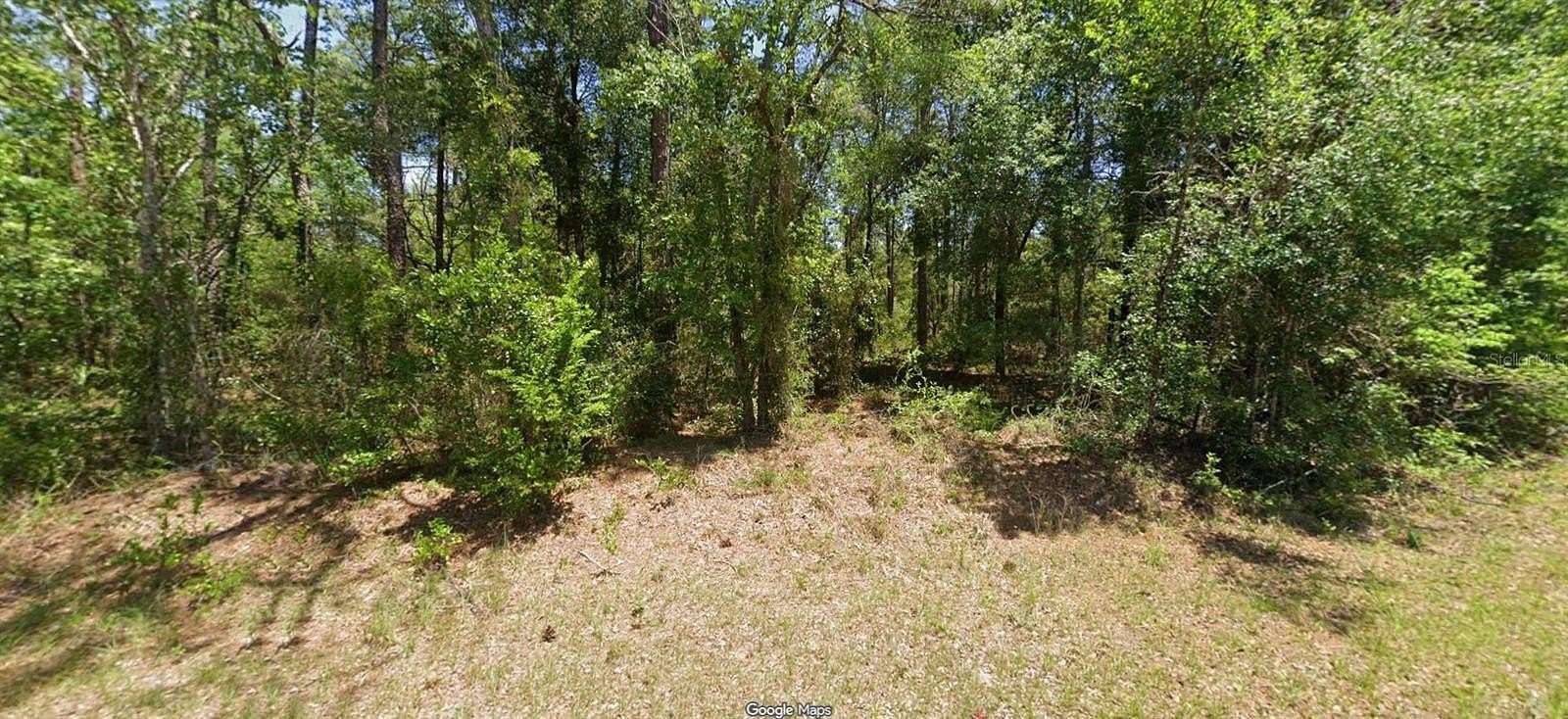 0.33 Acres of Residential Land for Sale in Dunnellon, Florida