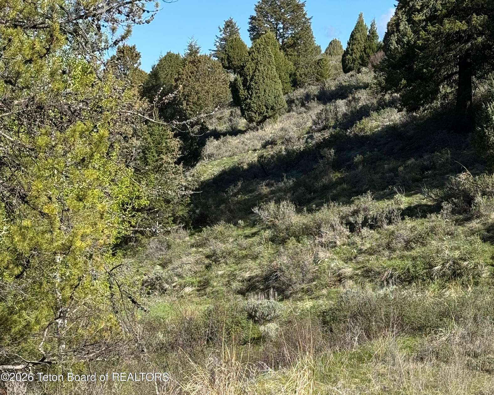 2.7 Acres of Residential Land for Sale in Irwin, Idaho