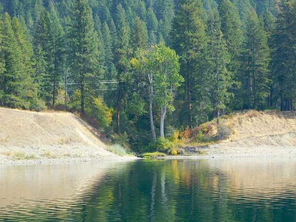 0.25 Acres of Land for Sale in Cusick, Washington