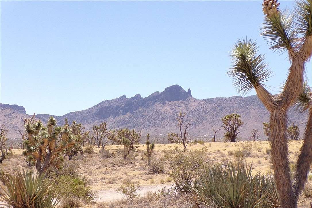 3 Acres of Residential Land for Sale in Dolan Springs, Arizona