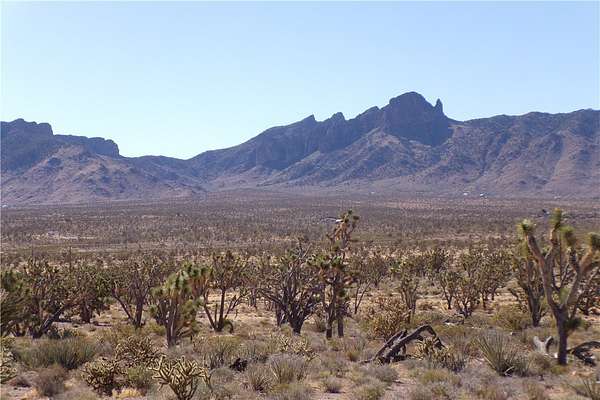 3 Acres of Residential Land for Sale in Dolan Springs, Arizona