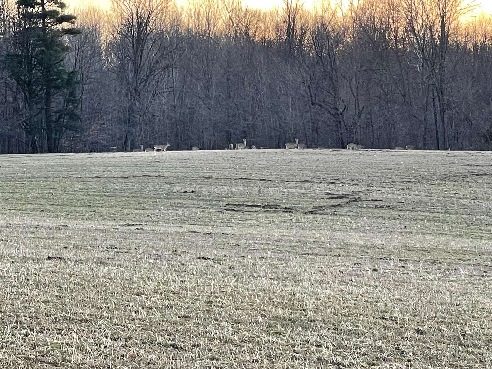 2.6 Acres of Land with Home for Sale in Zeeland, Michigan