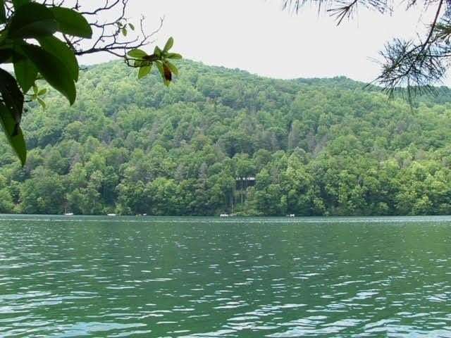0.61 Acres of Land for Sale in Topton, North Carolina