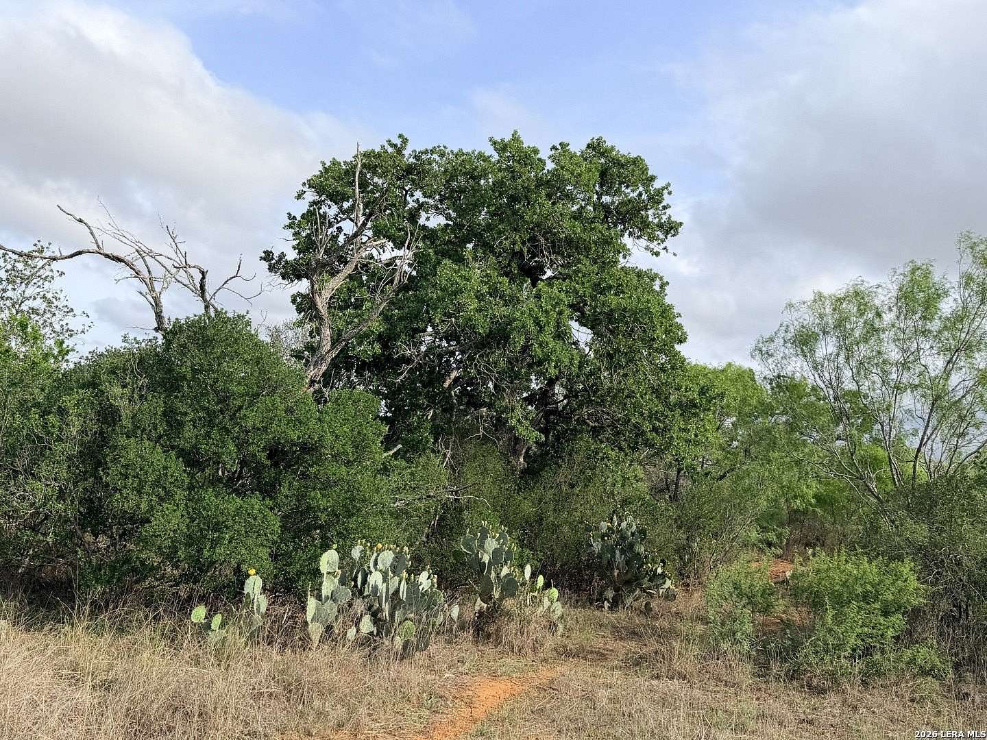 102 Acres of Recreational & Residential Land for Sale in Jourdanton, Texas