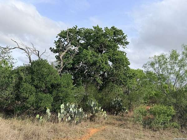 102 Acres of Recreational & Residential Land for Sale in Jourdanton, Texas