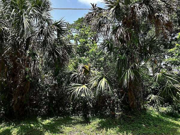 0.14 Acres of Residential Land for Sale in Osprey, Florida