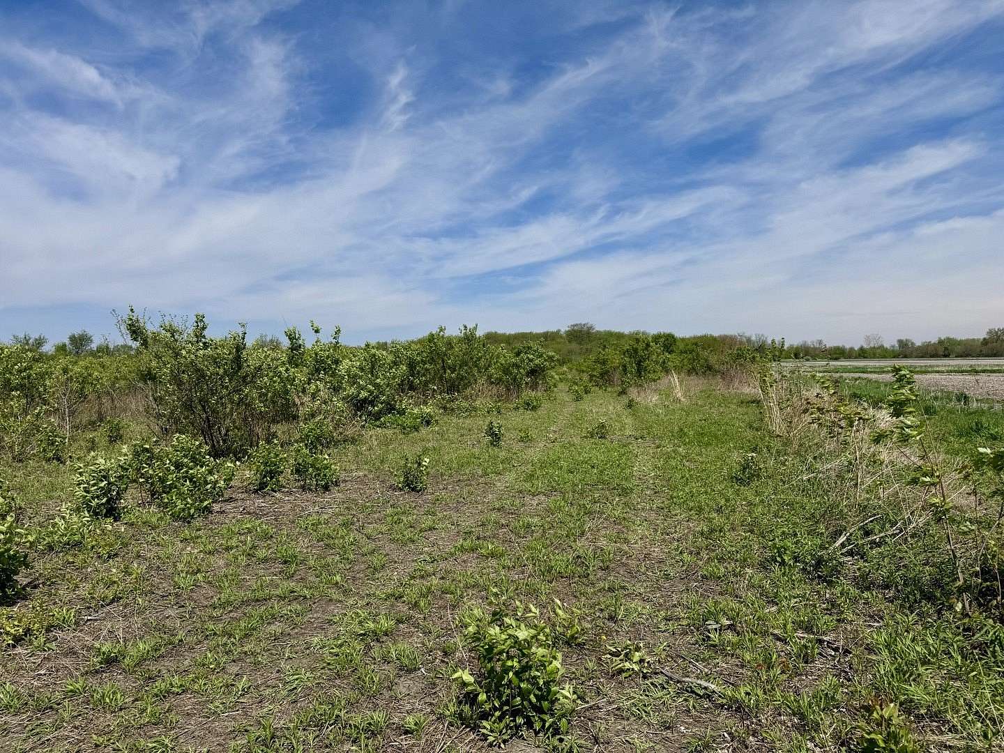 13.4 Acres of Land for Sale in Reddick, Illinois