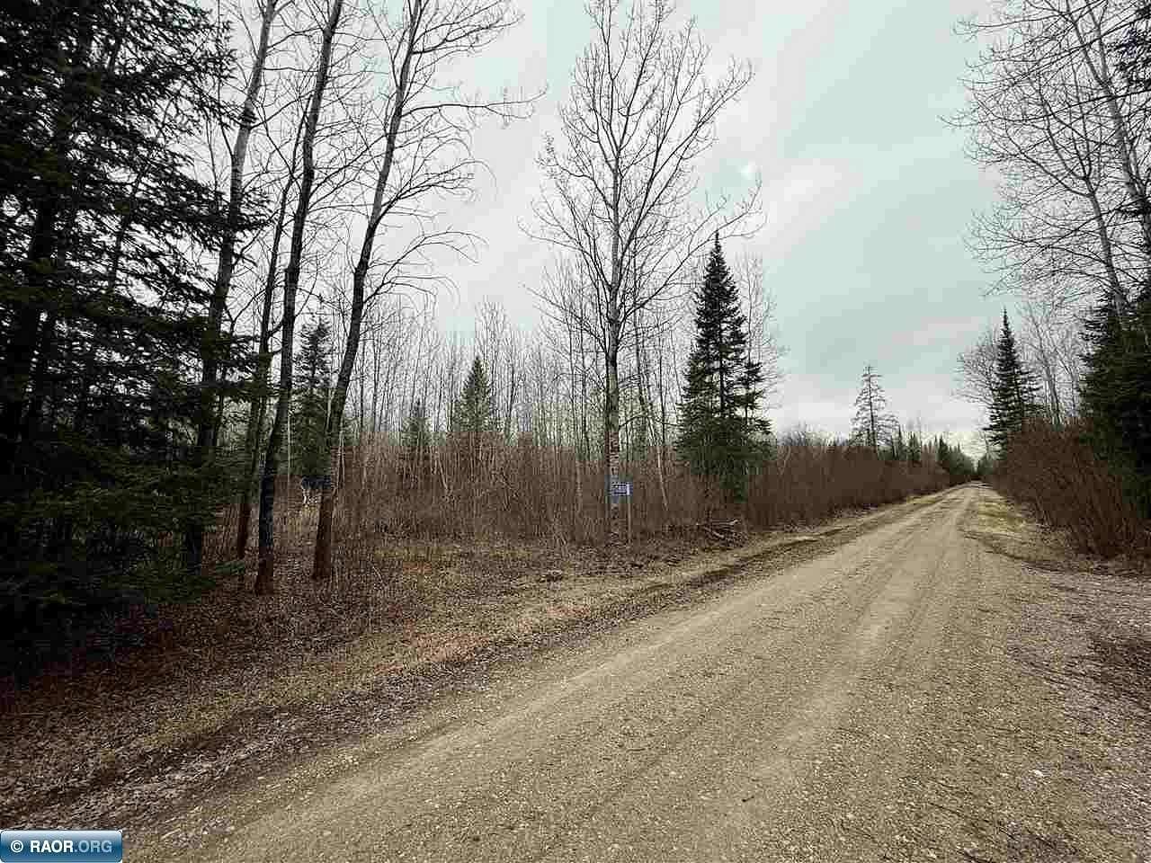 20 Acres of Recreational & Residential Land for Sale in Gheen, Minnesota