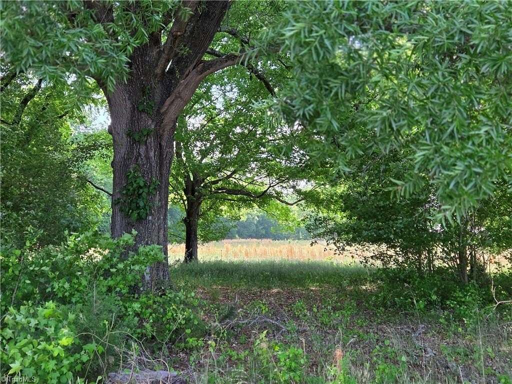 36.1 Acres of Land for Sale in McLeansville, North Carolina