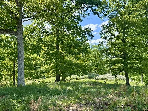 5.2 Acres of Agricultural Land for Sale in London, Kentucky