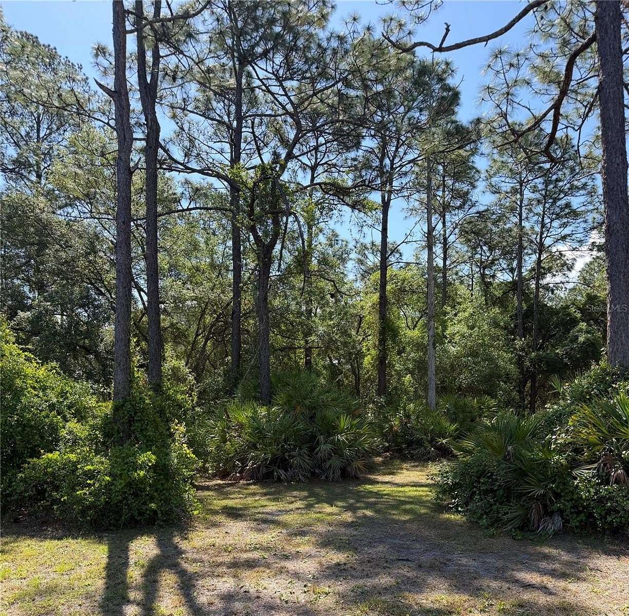 3.35 Acres of Land for Sale in Ocklawaha, Florida