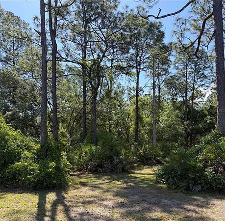 3.35 Acres of Land for Sale in Ocklawaha, Florida