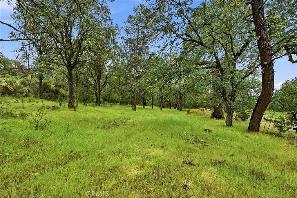 20.3 Acres of Land for Sale in Lower Lake, California