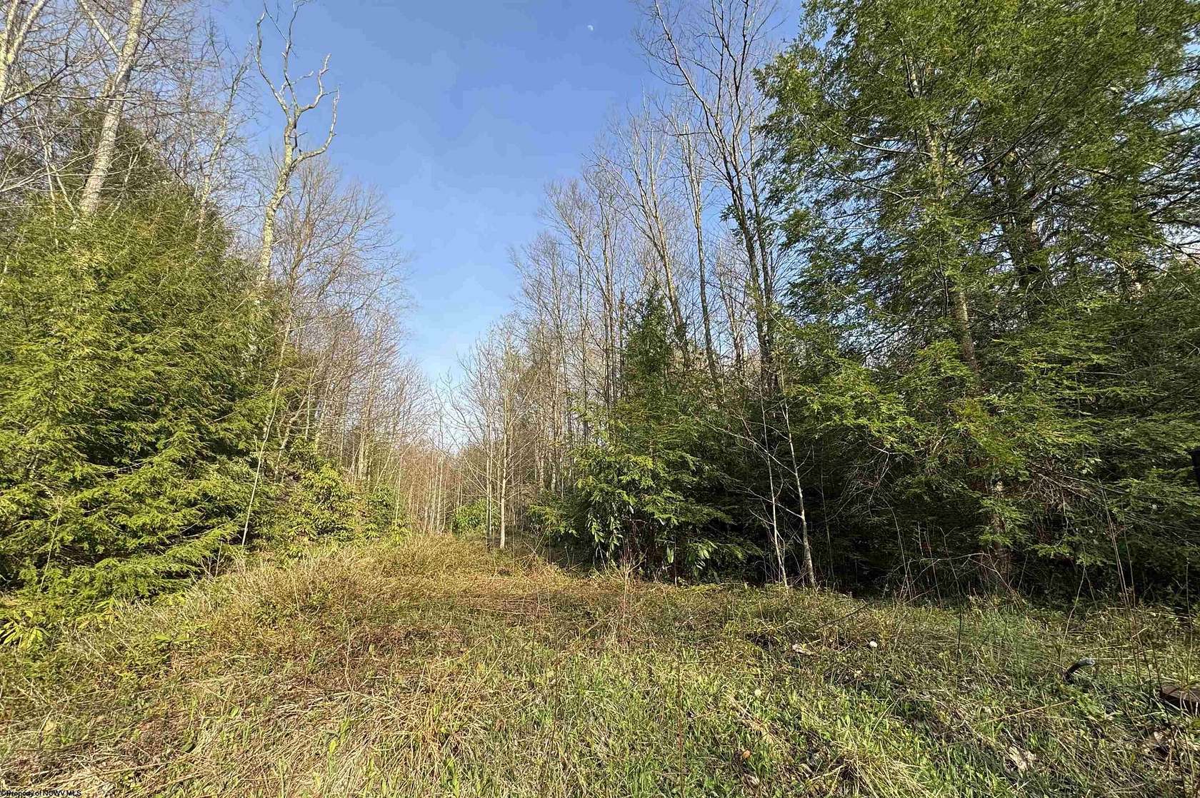 0.59 Acres of Residential Land for Sale in Davis, West Virginia