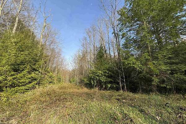 0.59 Acres of Residential Land for Sale in Davis, West Virginia