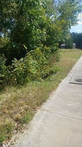 0.36 Acres of Residential Land for Sale in South Boston, Virginia