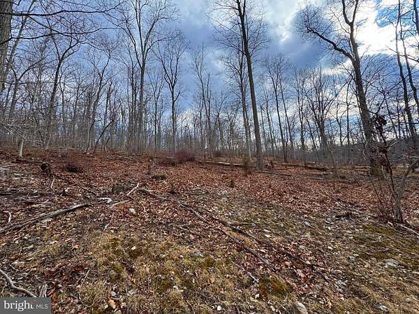 7.5 Acres of Recreational Land for Sale in Capon Bridge, West Virginia