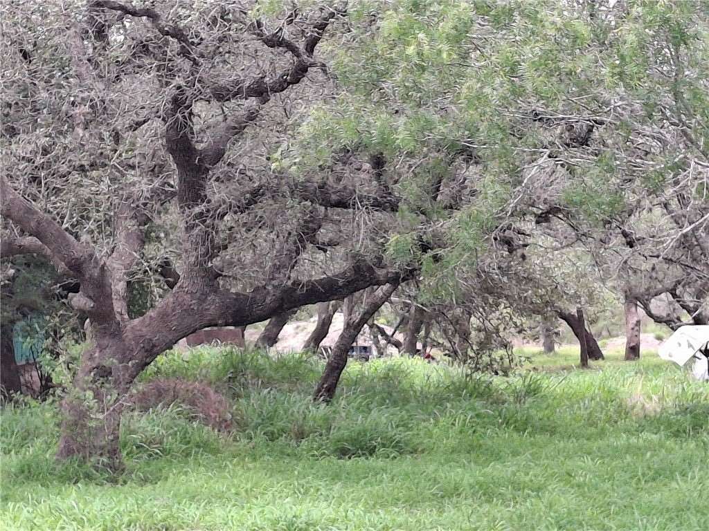 4.74 Acres of Residential Land for Sale in Papalote, Texas