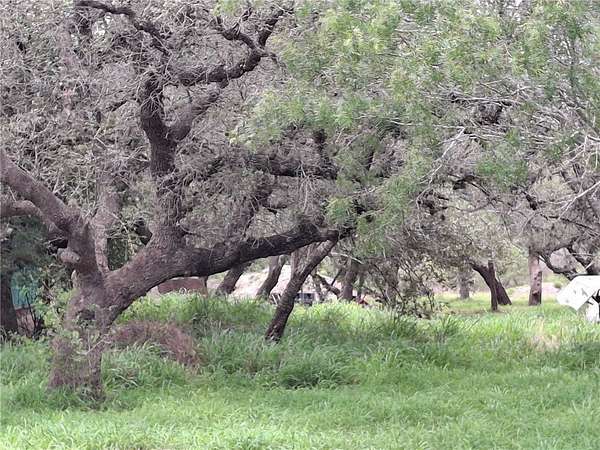 4.74 Acres of Residential Land for Sale in Papalote, Texas