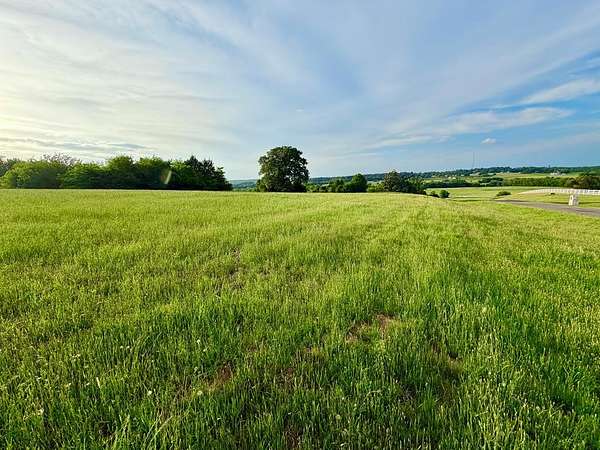 3 Acres of Residential Land for Sale in Athens, Texas