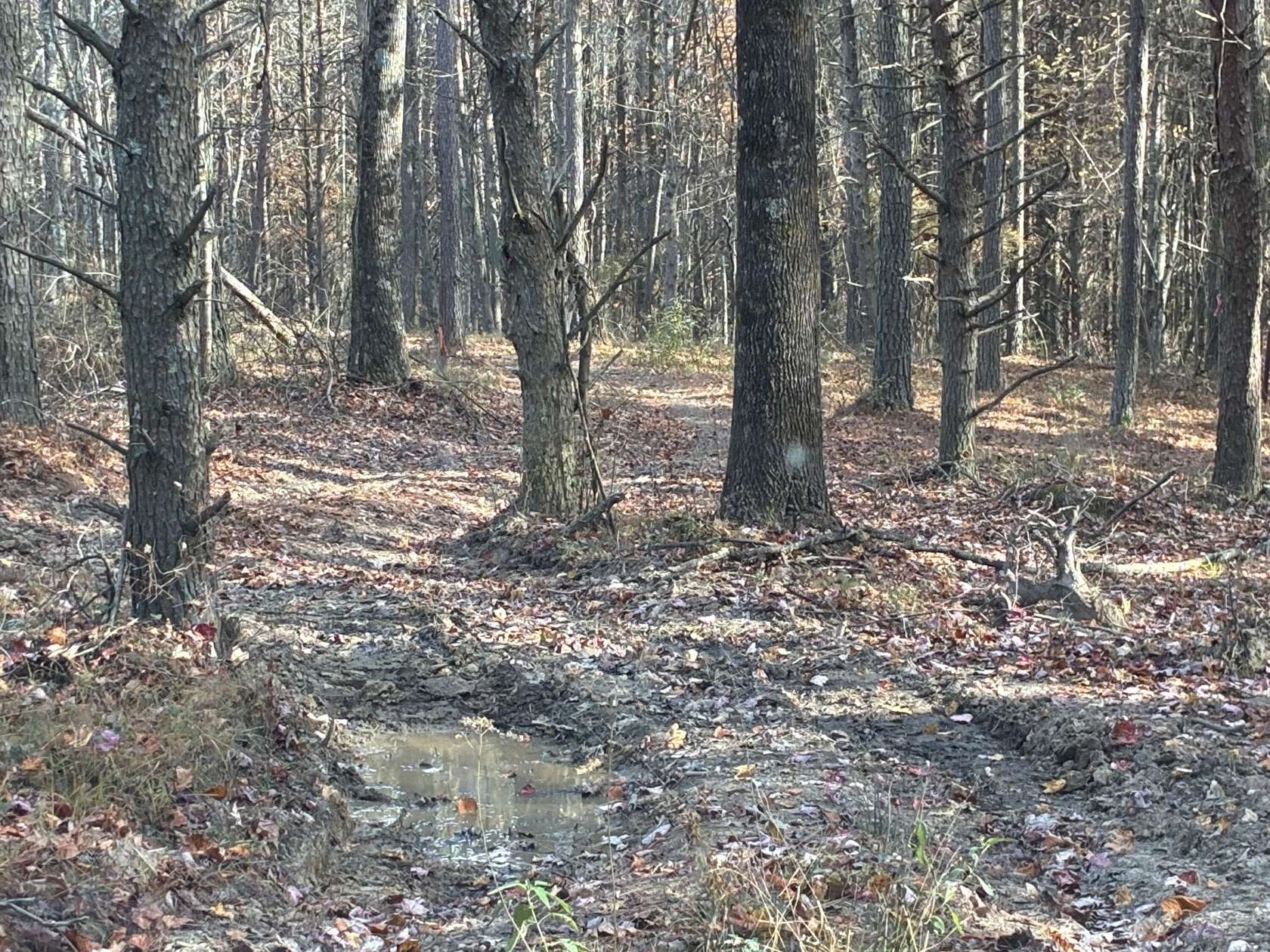 1.45 Acres of Residential Land for Sale in Haletown, Tennessee