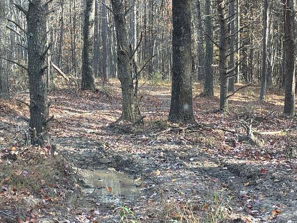 1.45 Acres of Residential Land for Sale in Haletown, Tennessee