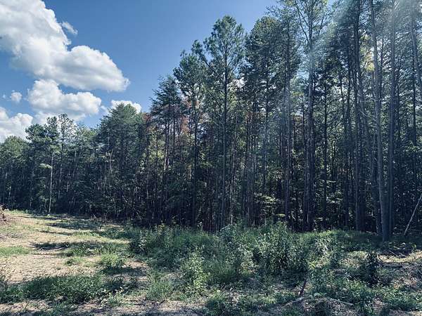 1.45 Acres of Residential Land for Sale in Haletown, Tennessee