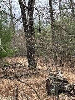 Residential Land for Sale in Moffatt Township, Michigan