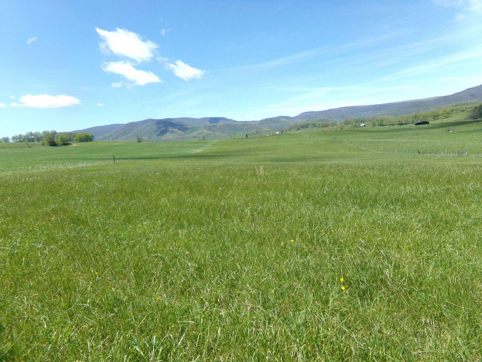 64.5 Acres of Land for Sale in Trout, West Virginia