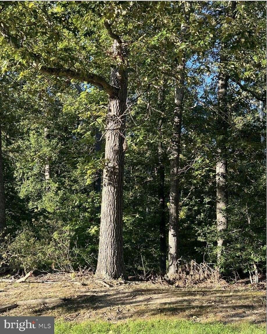 3.5 Acres of Residential Land for Sale in Charlotte Hall, Maryland