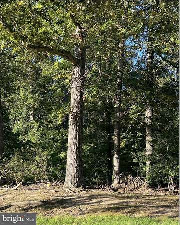 3.5 Acres of Residential Land for Sale in Charlotte Hall, Maryland
