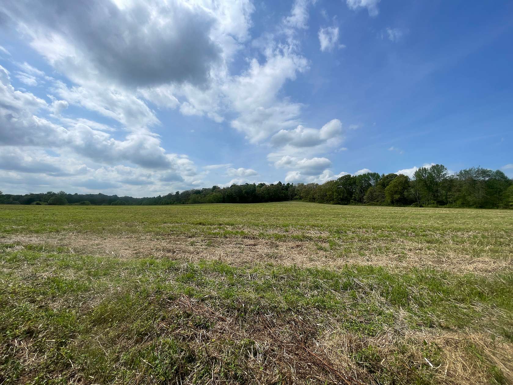 86.5 Acres of Land with Home for Auction in Morgantown, Kentucky
