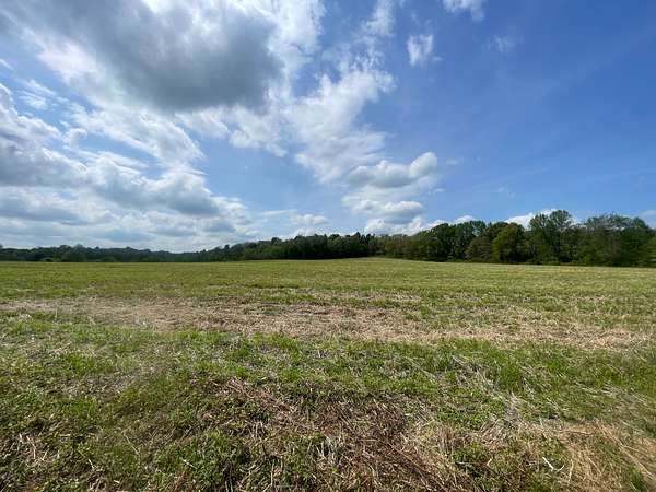 86.5 Acres of Land with Home for Auction in Morgantown, Kentucky