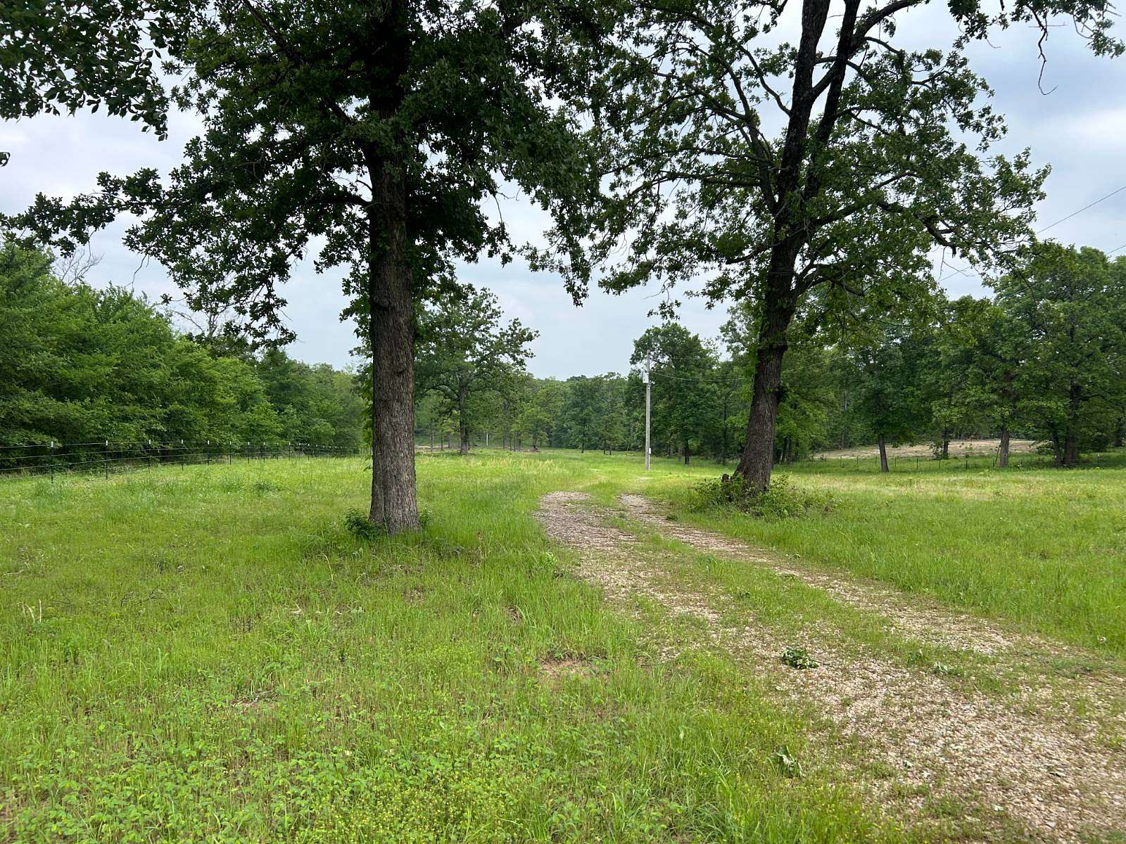 55.3 Acres of Land for Sale in Coleman, Oklahoma