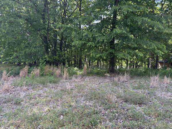 0.52 Acres of Residential Land for Sale in Clifton, Tennessee