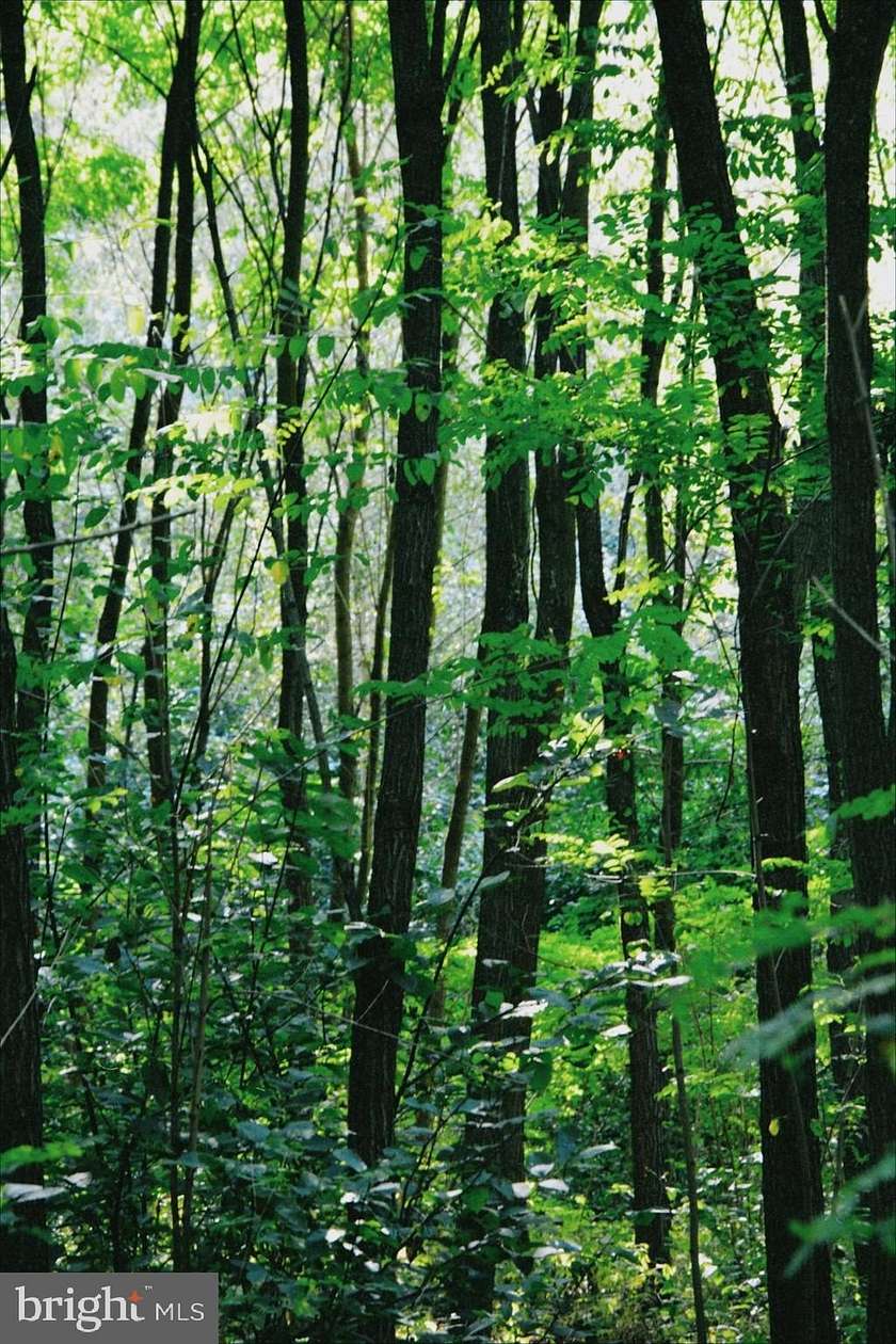 0.57 Acres of Residential Land for Sale in Luray, Virginia