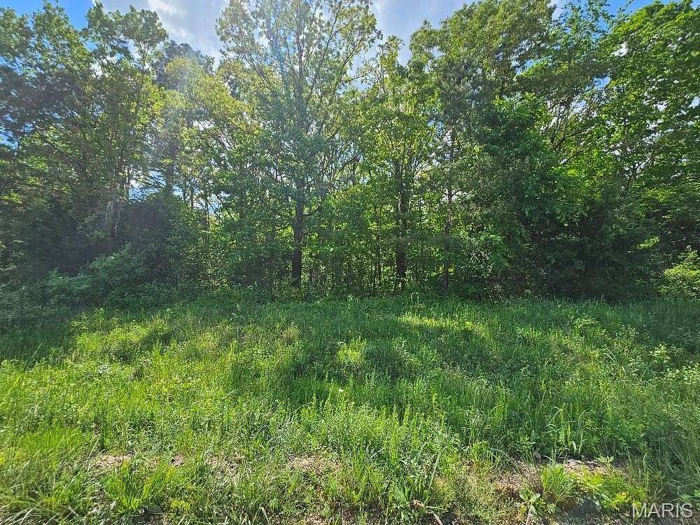10 Acres of Residential Land for Sale in Ellsinore, Missouri