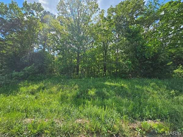 10 Acres of Residential Land for Sale in Ellsinore, Missouri
