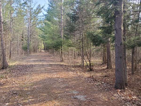 3 Acres of Land for Sale in Gladwin, Michigan