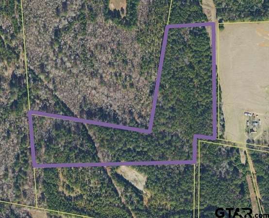 24.2 Acres of Recreational Land for Sale in Troup, Texas